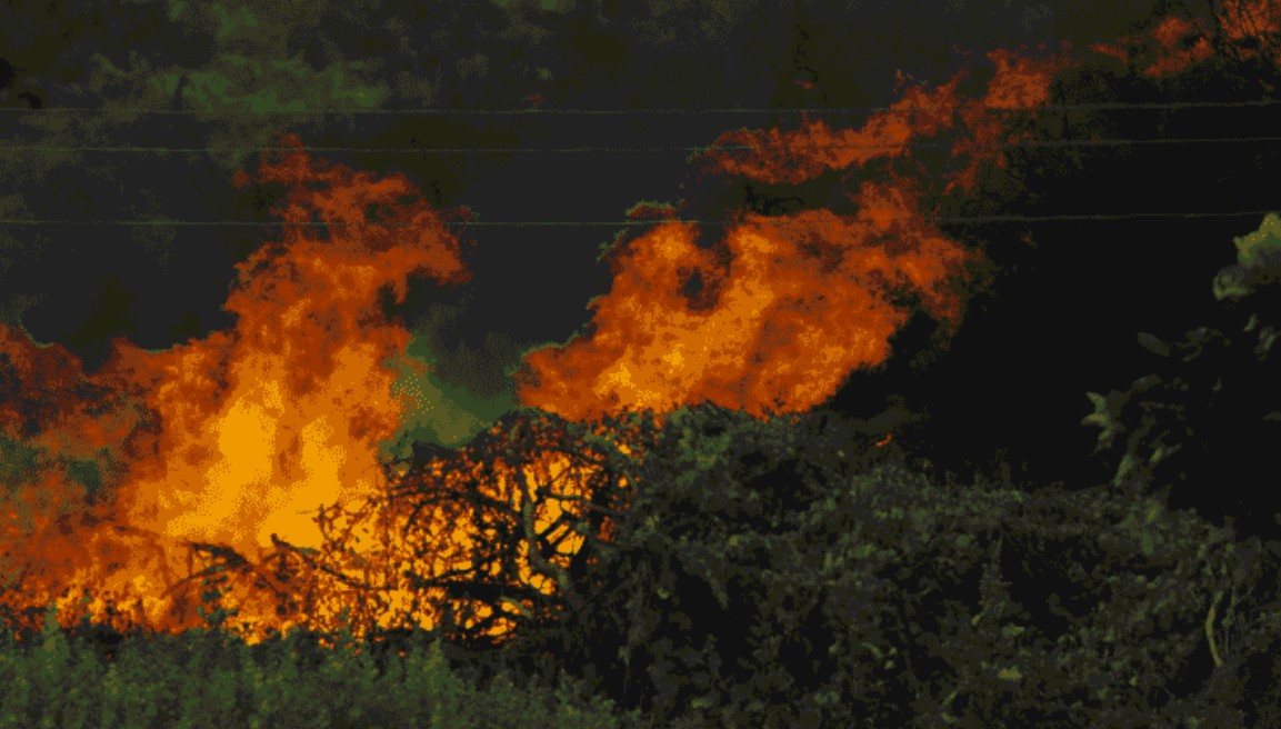 అరుణాచల్‌లో రగులుకున్న కార్చిచ్చు.. తగలబడుతున్న అడవులు